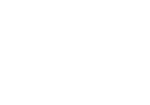 Fiesta de Reyes logo