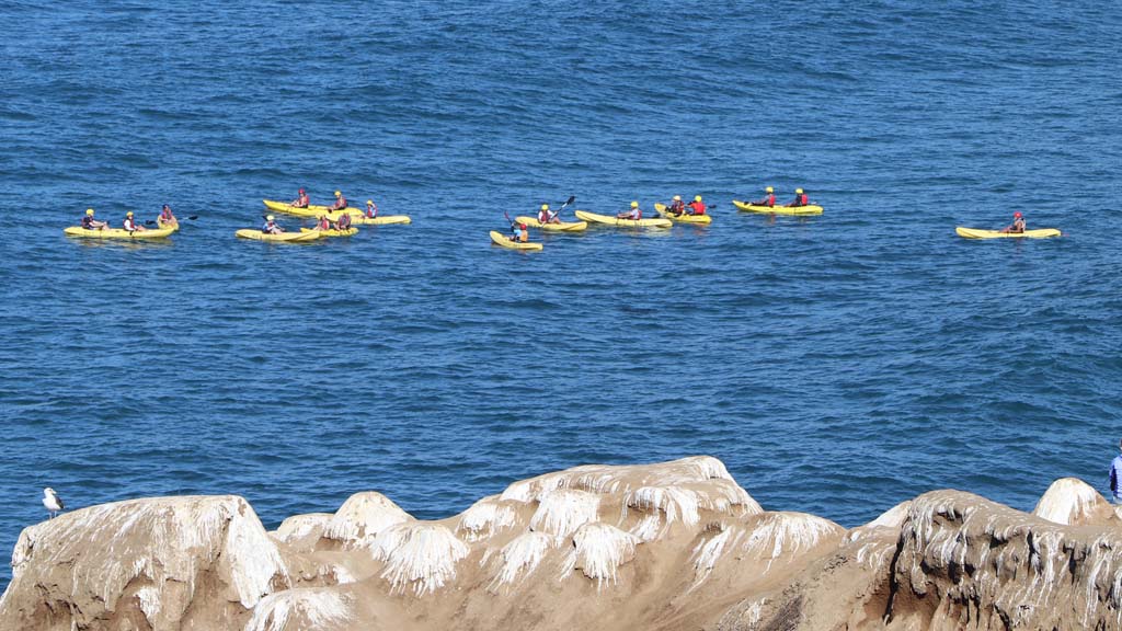 La Jolla Kayak Tours