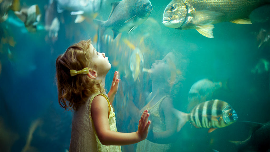 Birch Aquarium at Scripps