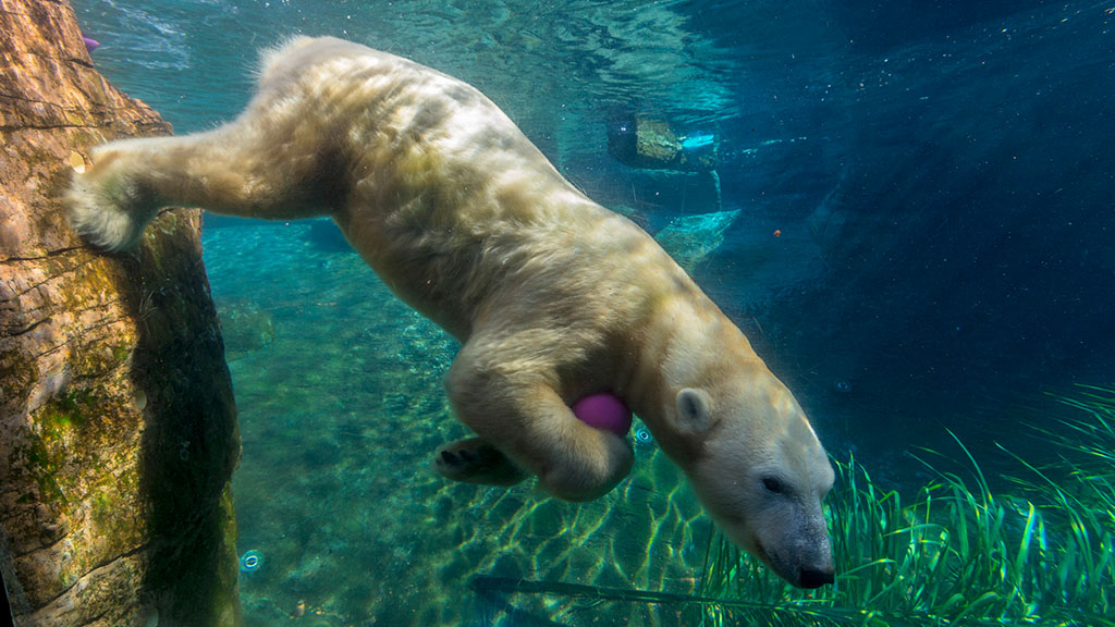 San Diego Zoo