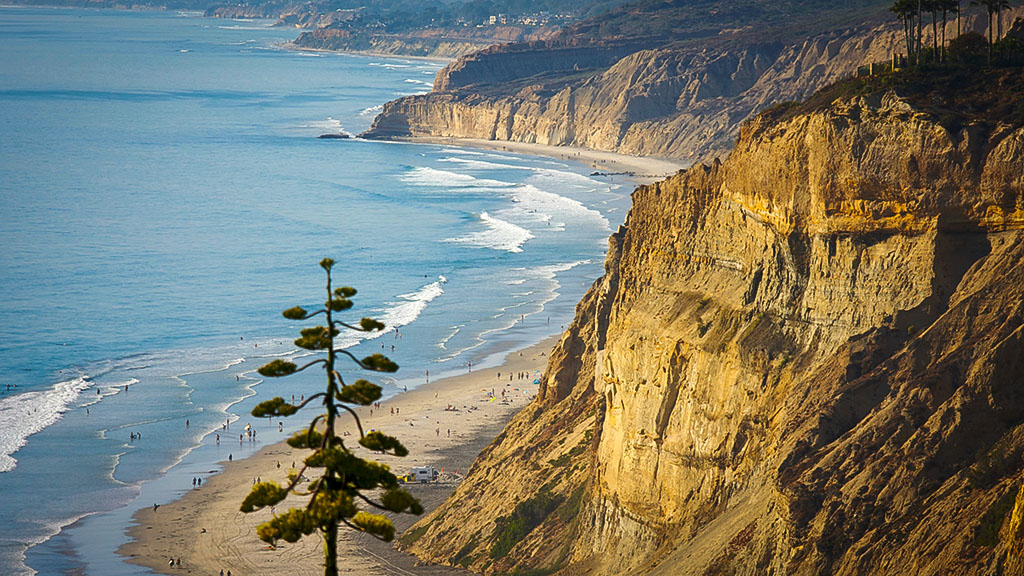 Torrey Pines State Natural Reserve
