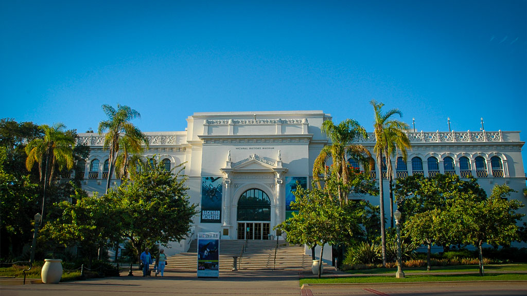 Museum of Natural History